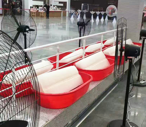 西安麻豆电影网在线观看冰块