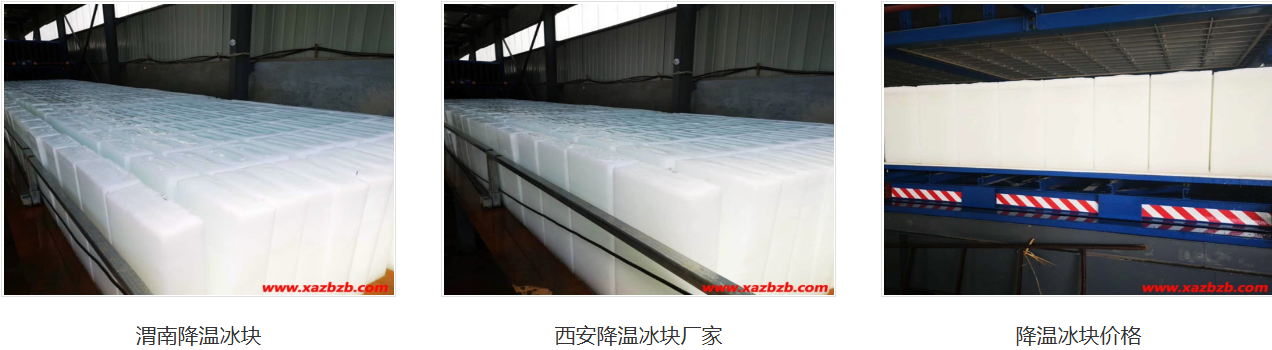 西安麻豆影视在线播放用冰